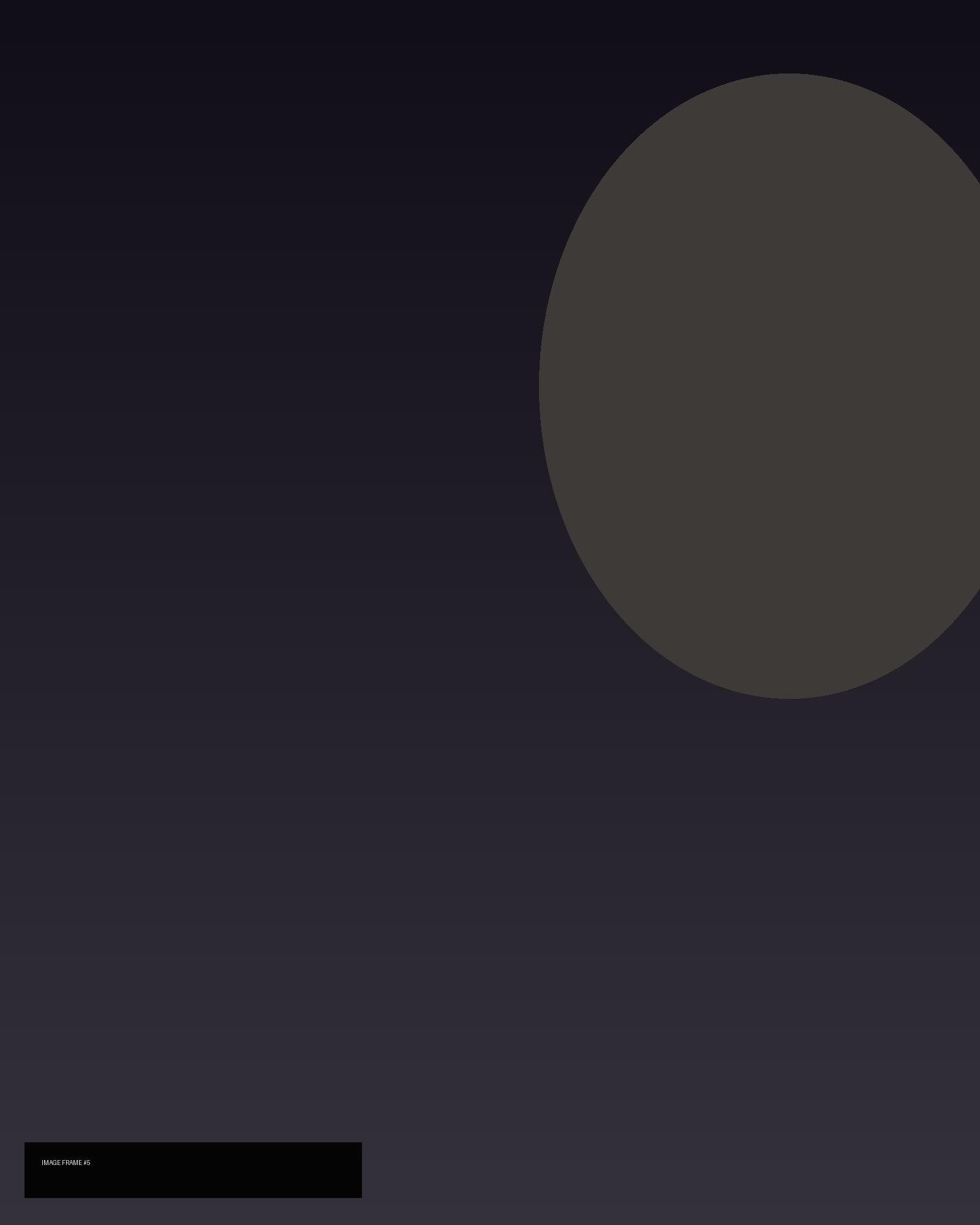 Portrait image placeholder three